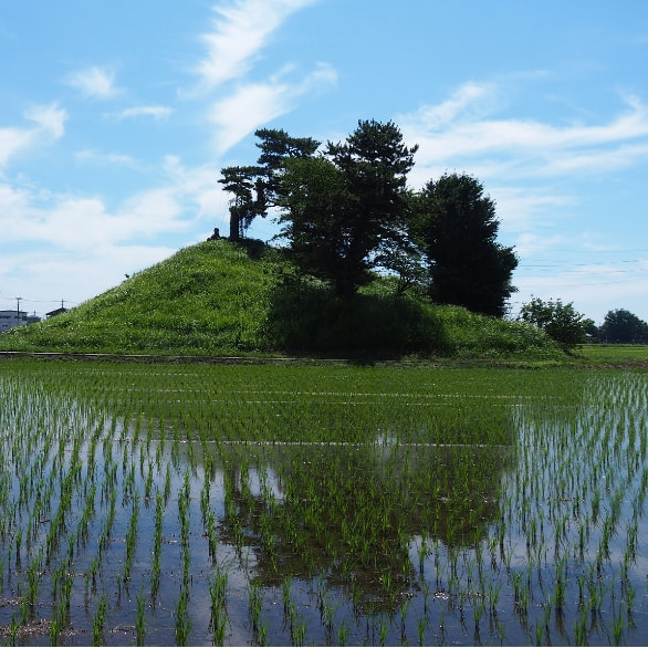 軍配山と水田風景