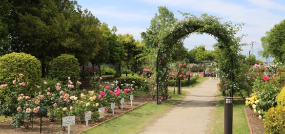 玉村町北部公園