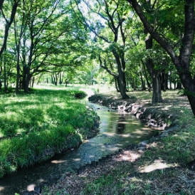 水辺の森公園