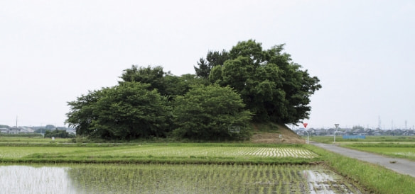 田園風景