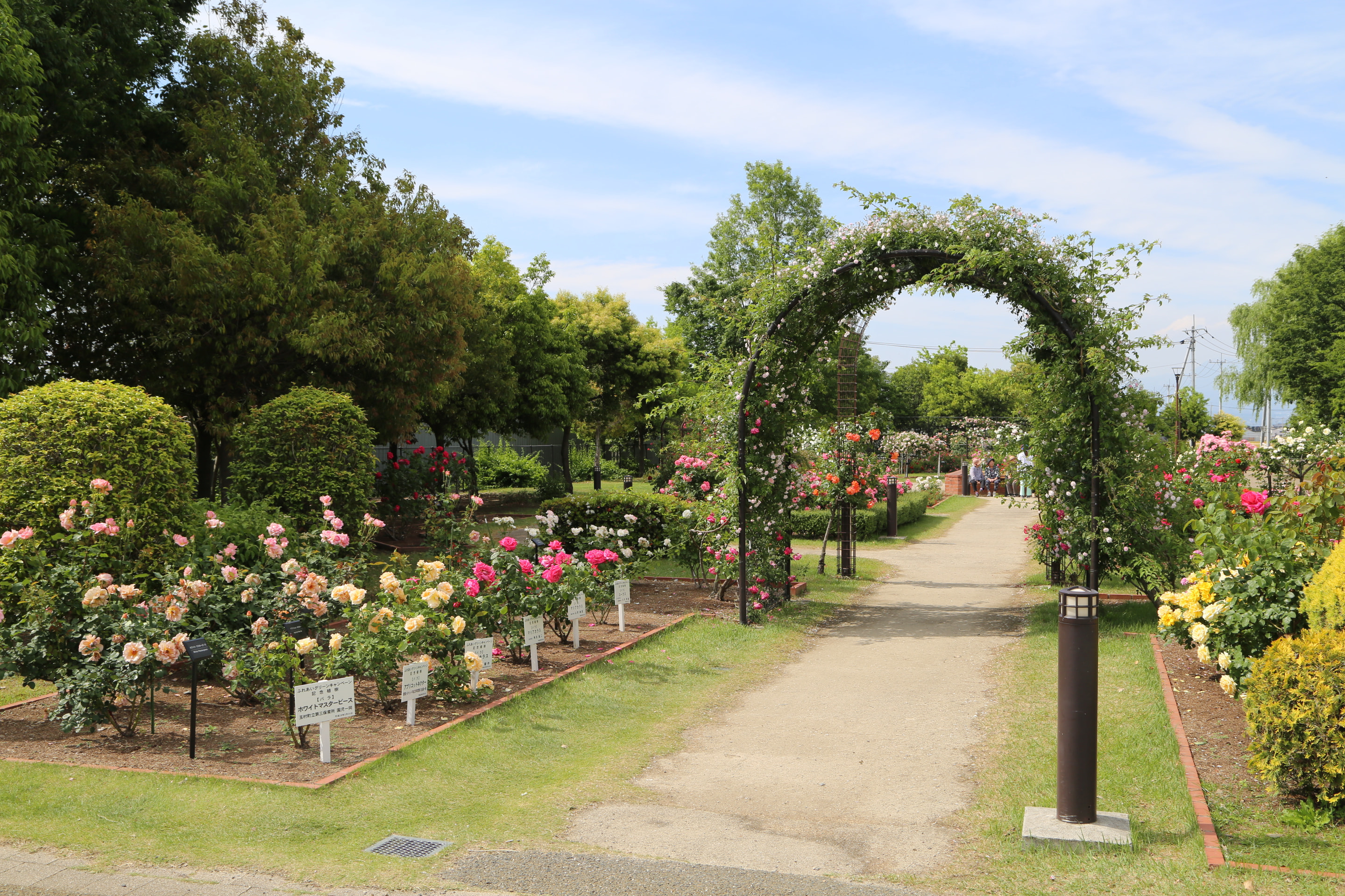 北部公園バラ園