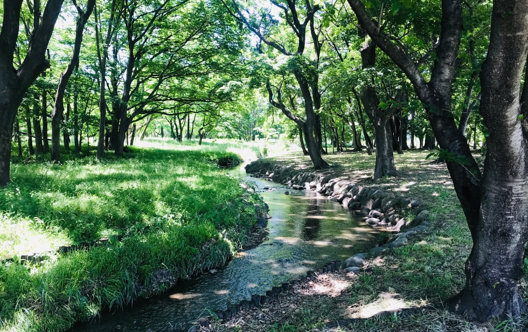 水辺の森公園